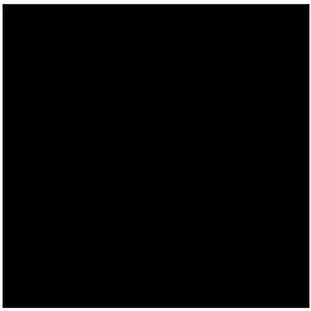 Porcelanosa Yer Karosu E x treme Black 59.6 x 59.6 cm