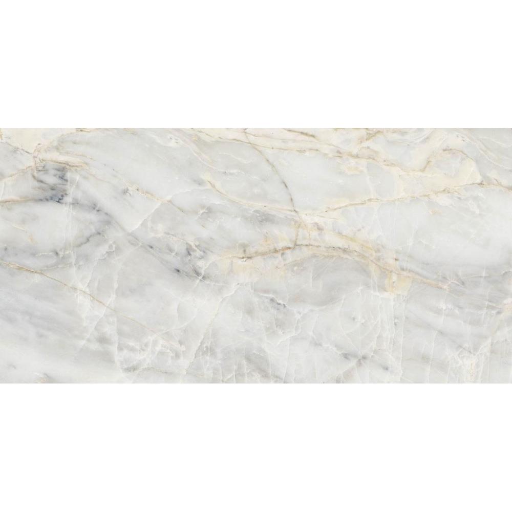 UnicaTarget Yer Duvar Karosu I Marmi Borbone Glossy  60 x 120 cm